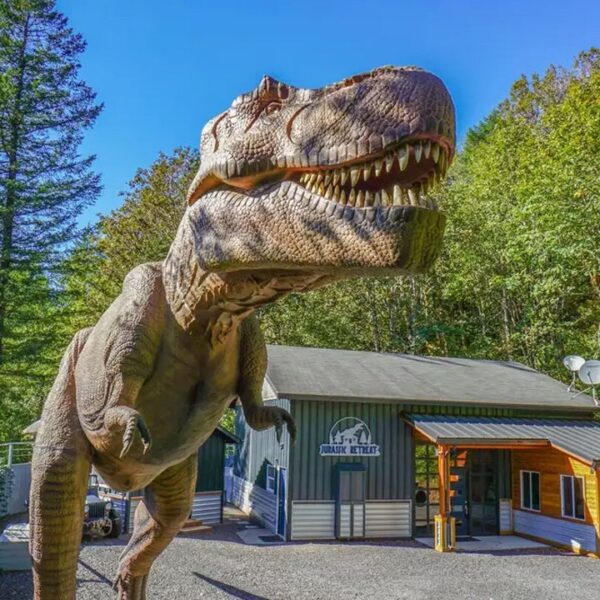 Marxist meals excursions and dinosaur offers: A tour of lefty lunacy and…