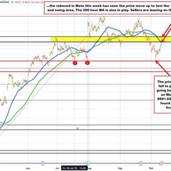NASDAQ index trades to new document excessive> Meta just isn’t following. Why?
