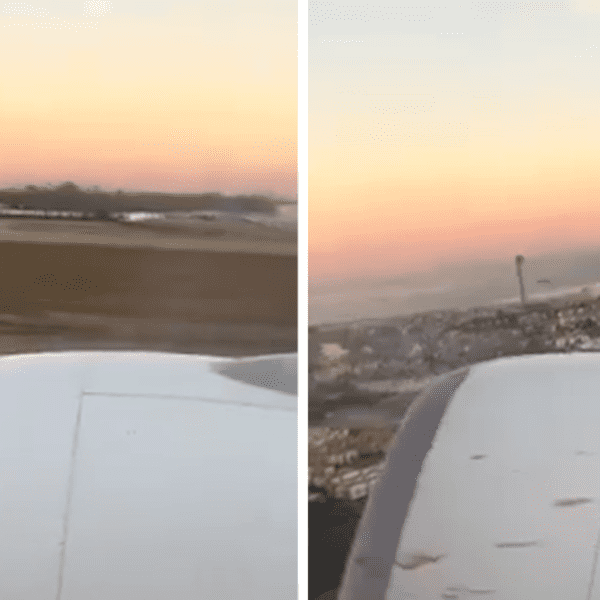 Saudi Airlines Plane Hits Flock of Birds Right After Takeoff, Watch The…