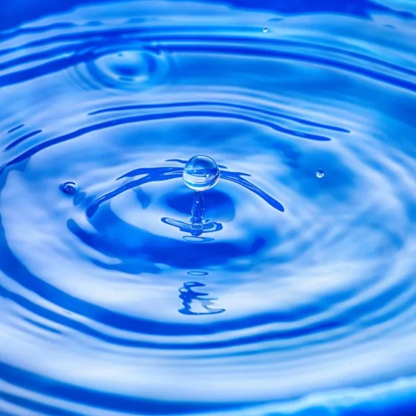 Ripple-Linked Company To Build A Massive XRP Empire