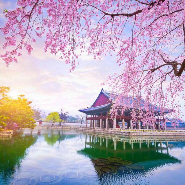 South Korea To Confiscate Crypto Cold Wallets If Taxes Aren’t Paid