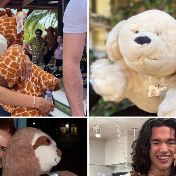 Stars Gettin’ Cozy With Stuffed Animals For National Plush Animal Lovers Day!