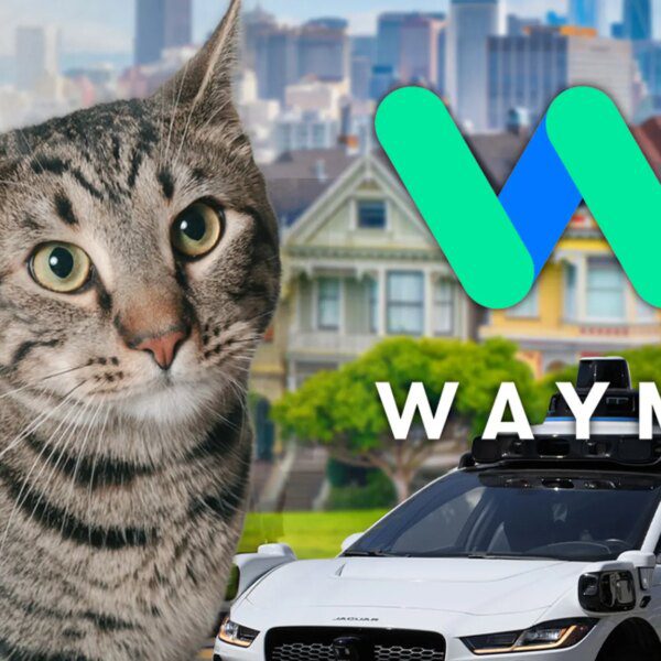 Waymo Says Cat Darted Under Self-Driving Car Before Fatal San Francisco Crash