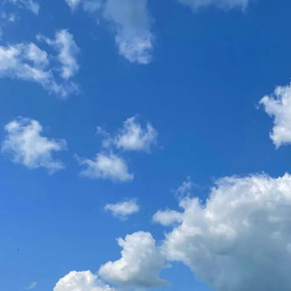 Waffles eat Bluesky | TechCrunch