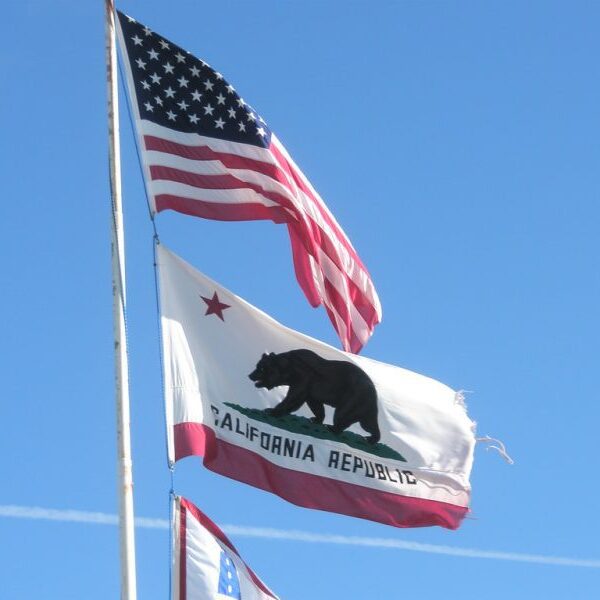 California GOP Chair Rankin’s Redistricting Trial by Fire | The Gateway Pundit