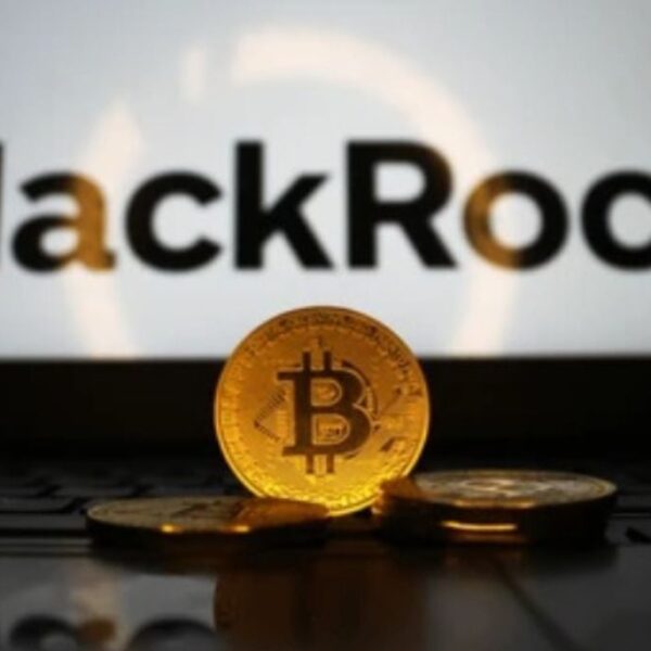 From Wall Street to the Amazon Jungle: BlackRock and Partners Advance within…