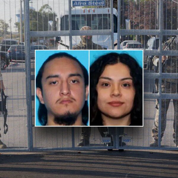 Chicago suspects face federal home terrorism fees for attacking DHS