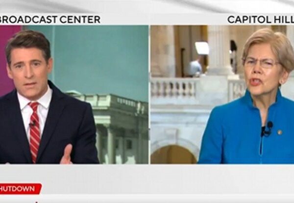 Elizabeth Warren Loses Her Mind When Journalist Notes That Democrats Actually Do…