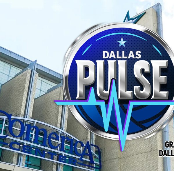 MLV’s Dallas Pulse Unveils Name, Logo – Sports activitiesLogos.Net News
