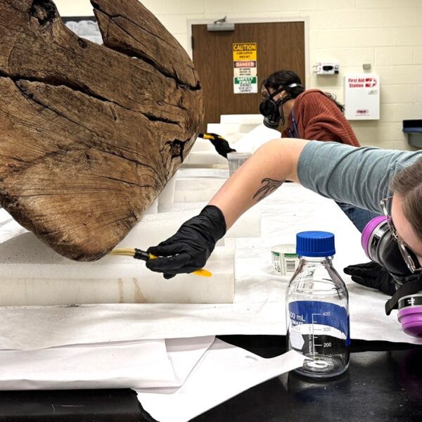 Mysterious picket canoe baffles consultants, plus historic spicy meals could enhance coronary…