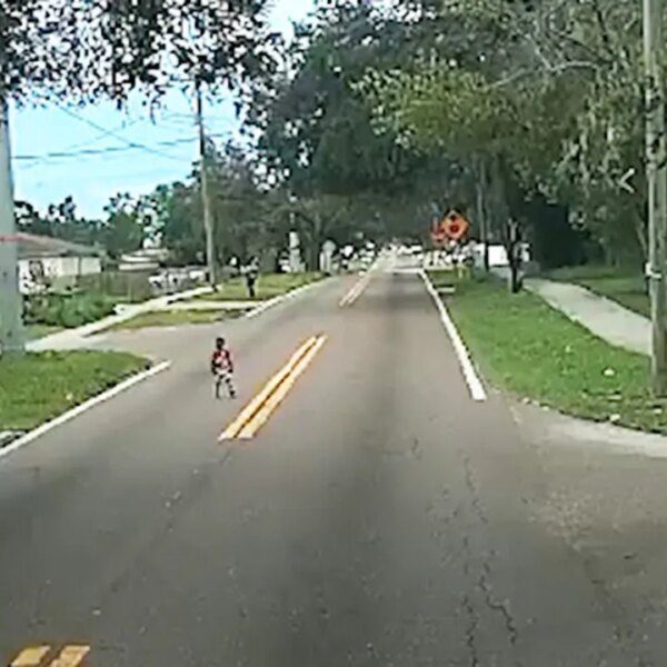 Tampa bus driver stops to save lots of barefoot toddler wandering alone…