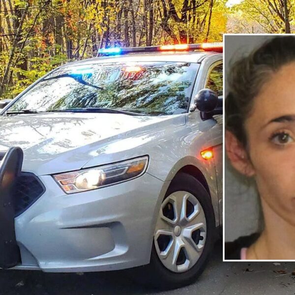 Connecticut mother poisoned husband with antifreeze amid custody combat: Officials