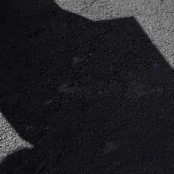 AWOL Trump Goes Into Hiding After Shutdown