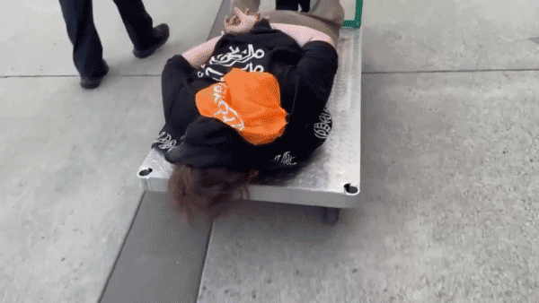 ICE posts viral video of suspect on cart set to Chamillionaire track