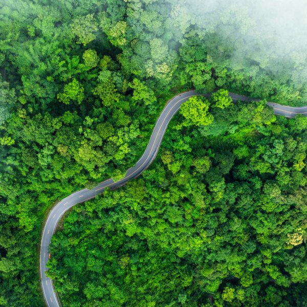 An Index Series To Help You Invest In The Green Economy