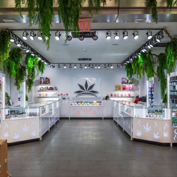 MJ: Midterms Could Offer Chance To Enjoy High Returns With Cannabis Stocks