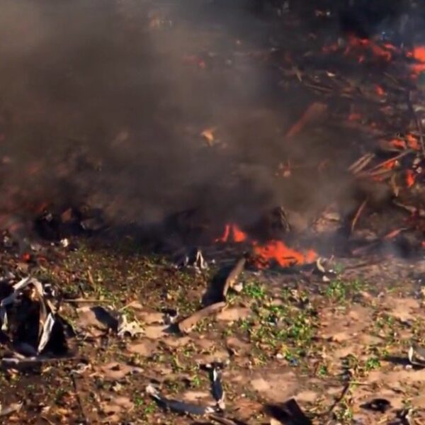 Update: No Survivors in Blast at Woman-Owned Tennessee Explosives Plant – 16…