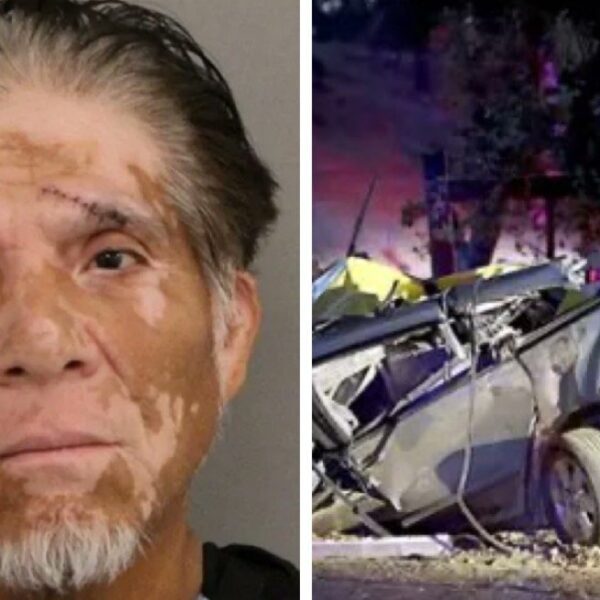 Thanks to Gavin Newsom – Criminal Illegal Alien Kills Six People in…