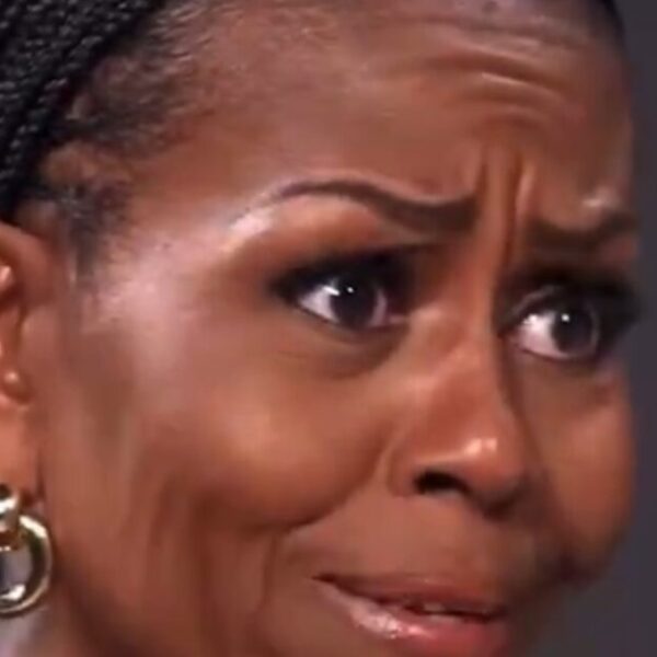 Megyn Kelly ROASTS Michelle Obama For Accidentally Making the Case Against Affirmative…