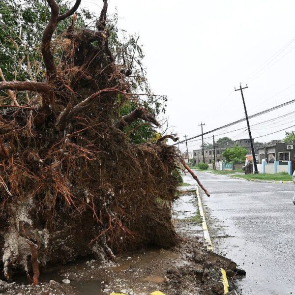 Samaritan’s Purse airlifts 38,000 kilos of reduction provides to Jamaica