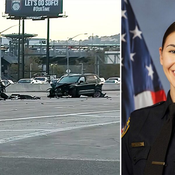 La Mesa officer Lauren Craven struck and killed whereas serving to at…