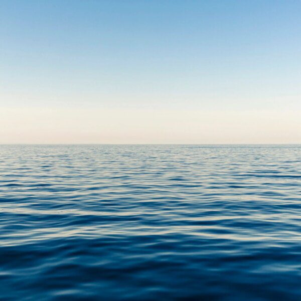 OpenSea Plans To Launch SEA Token By Q1 2026