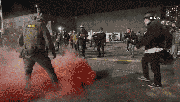 Federal brokers arrest Portland, Oregon, protesters, deploy tear gasoline amid chaos
