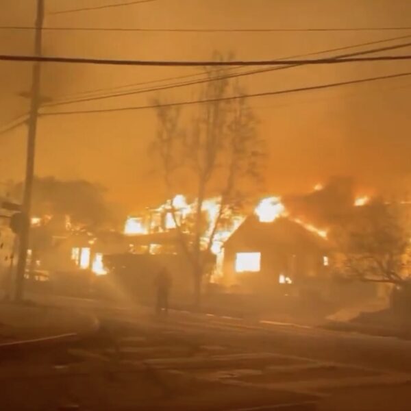 TEN MONTHS AFTER THE FIRES: Only TWO Reconstruction Permits Have Been Issued…