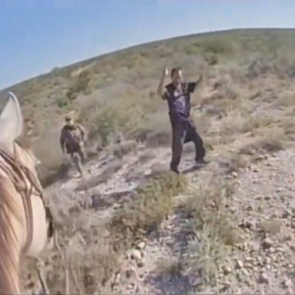 Texas DPS Mounted Patrol and K9 Unit Track Illegal Alien Felon with…