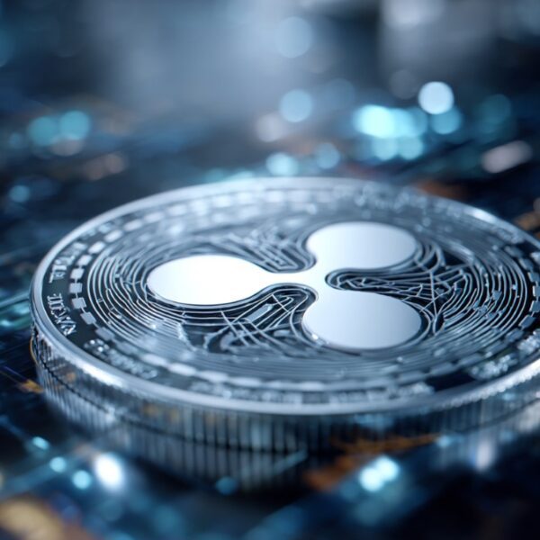 XRP Price Recovers From the Bottom As Whales Buy the Dips