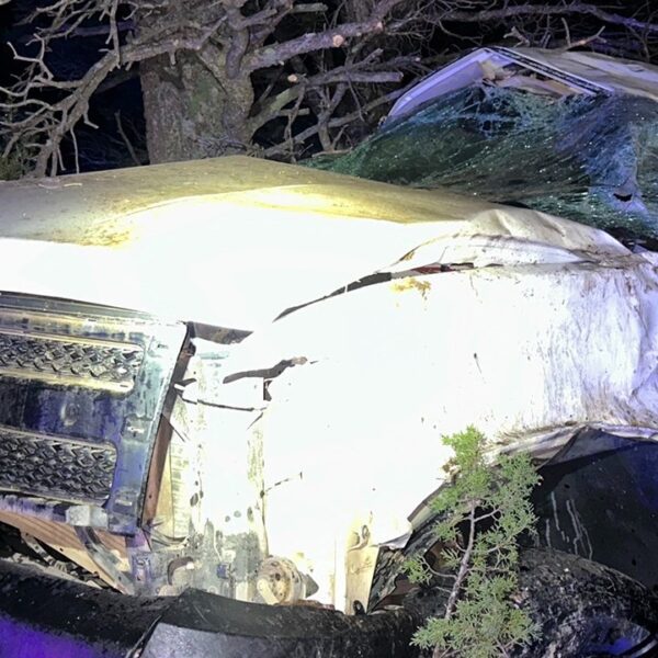Teen crashes stolen automobile at 100+ mph with youngster inside in Arizona…
