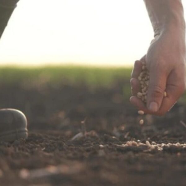 Trump Promises to Allocate Tariff Revenues to Bail Out U.S. Farmers