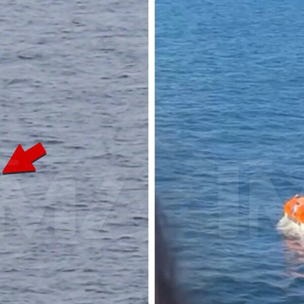 Carnival Cruise Passenger Goes Overboard Off Mexican Coastline, False Alarm