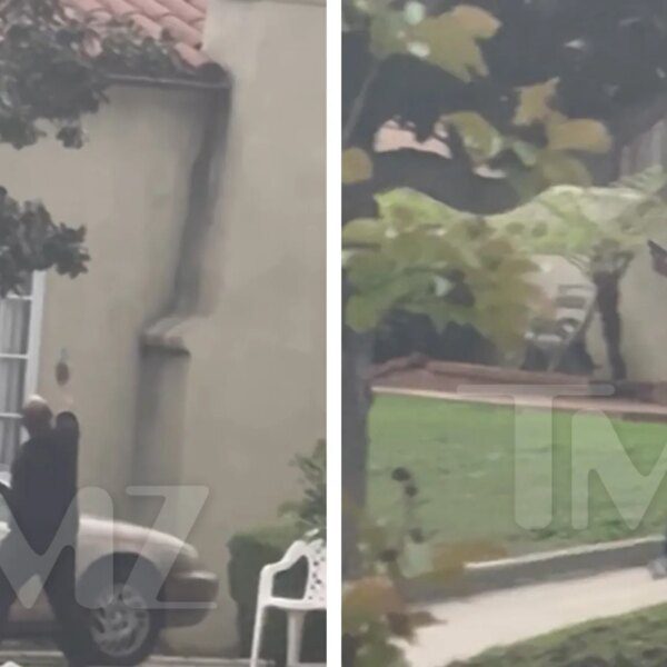 LAPD Arrests Man Who Allegedly Shot at Police Helicopter, Shooting On Video