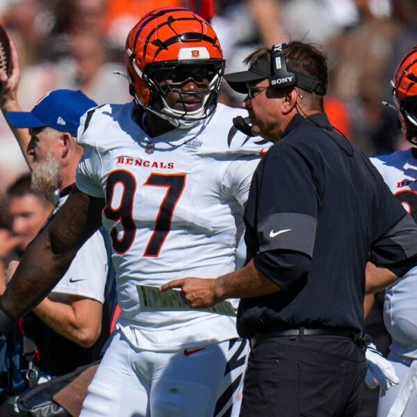 Report: Bengals DE Shemar Stewart (knee) lands on IR