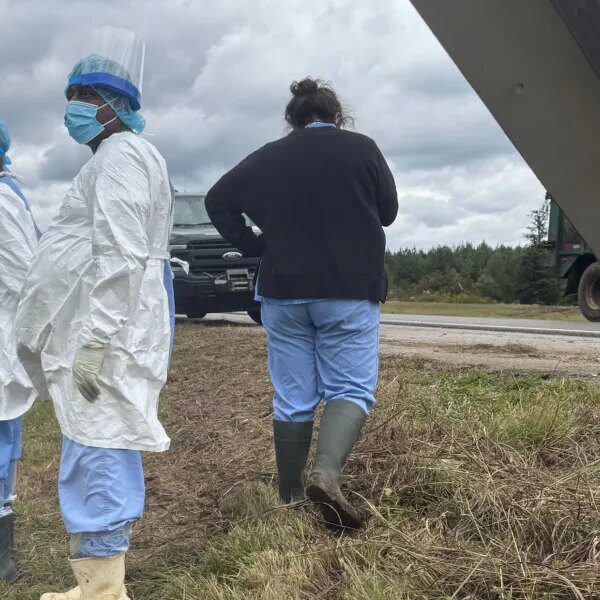 Mississippi girl shoots and kills escaped analysis monkey