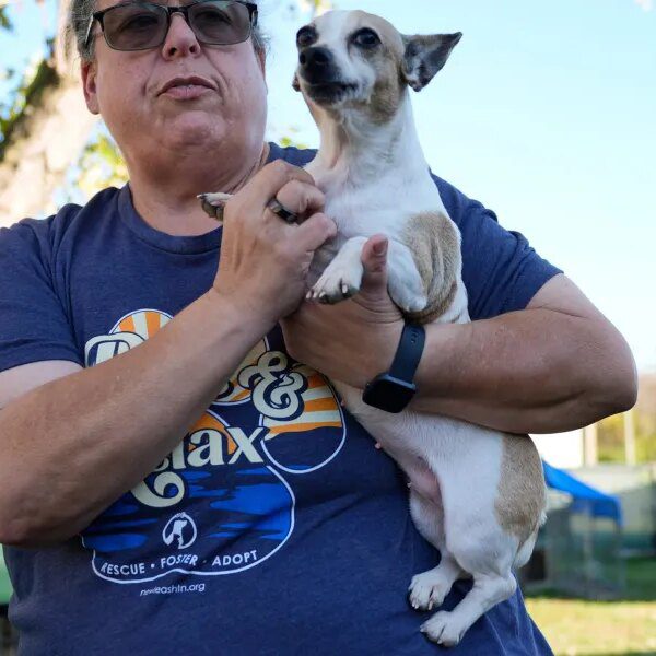 ‘People are exceptionally panicking’: SNAP catastrophe leaves many Americans unable to feed…