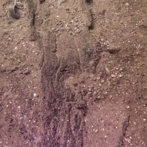 Wisconsin archaeologists unearth a prehistoric lake ‘parking zone’ by mapping the situation…