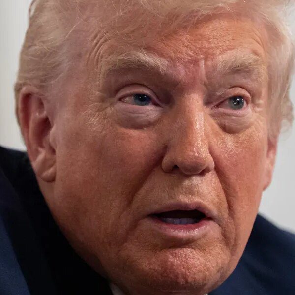 Trump says he needs to ‘completely pause migration’ from poor international locations:…