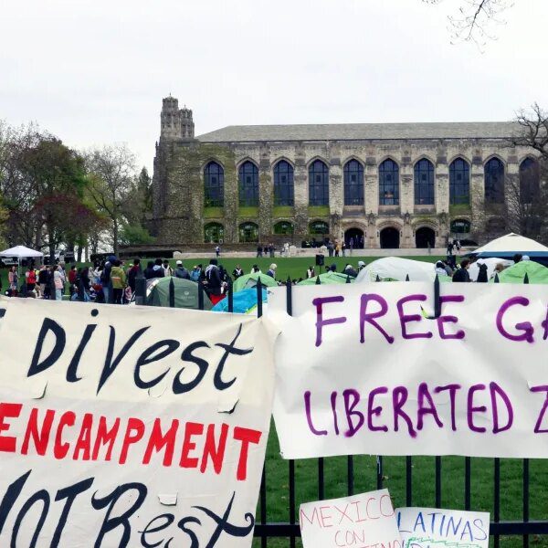 Northwestern pays Trump admin $75 million to settle antisemitism instances and restore…