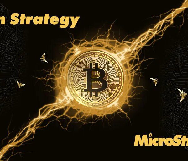 World-Class Economist Calls Out Flaw In MicroStrategy’s Bitcoin Bet, Says ‘Death Spiral’…