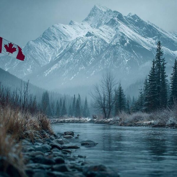 The Canadian greenback jumps to the very best ranges of the month