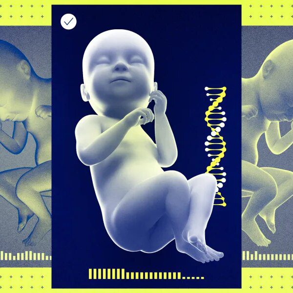 Silicon Valley units its sights on constructing the proper child