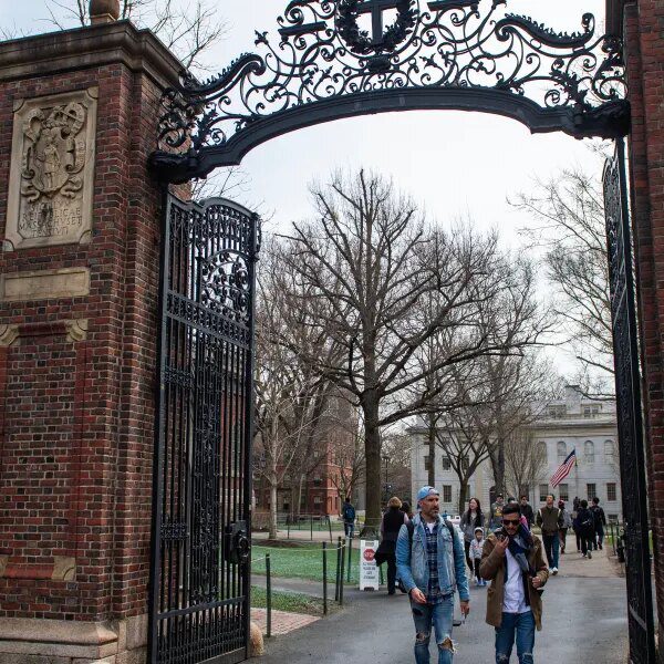 Harvard now owns practically half a billion {dollars} price of Bitcoin, filings…