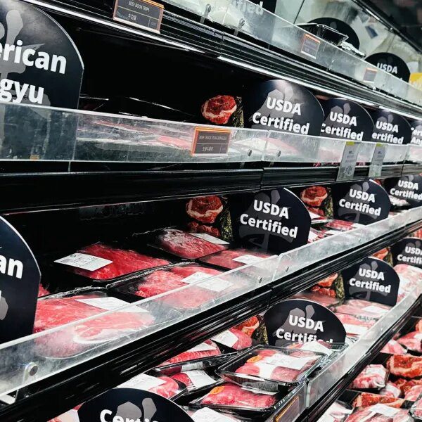 ‘It did not should be this fashion’ — Top economist warns affordability…