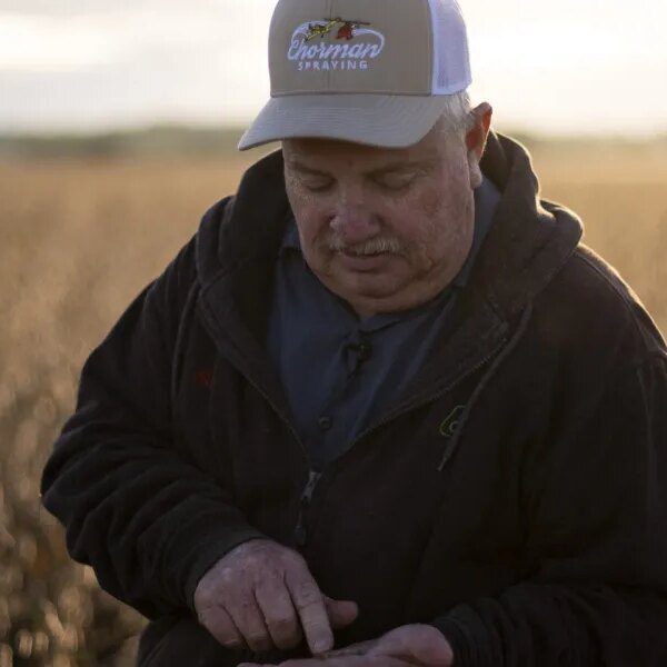 Farmers stay unsettled on commerce, even after China’s greatest U.S. soybean buy…