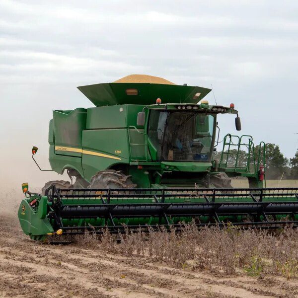 There’s ‘no proof’ China is shopping for all of the U.S. soybeans…