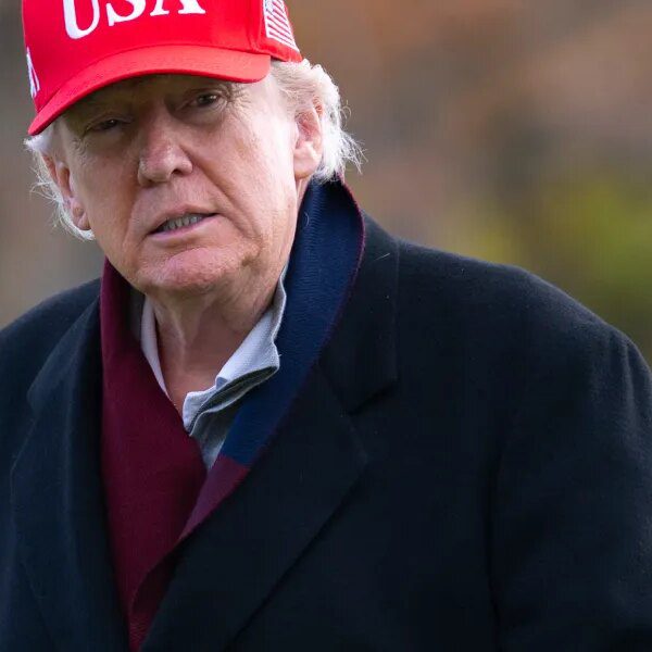 Elon Musk might need simply by accident revealed that numerous MAGA influencers…