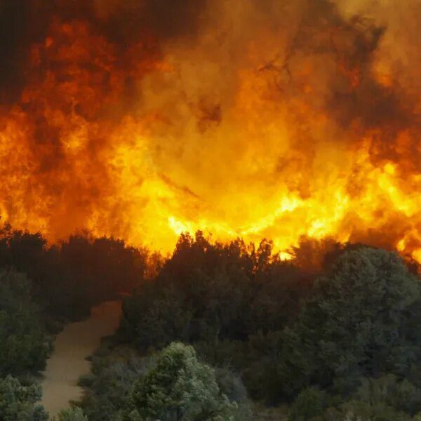 Inside the brand new open-source AI that helps anybody monitor a altering…