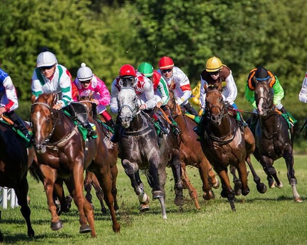 Horse-racing trade faces £10m blow from enterprise charges overhaul – Investorempires.com
